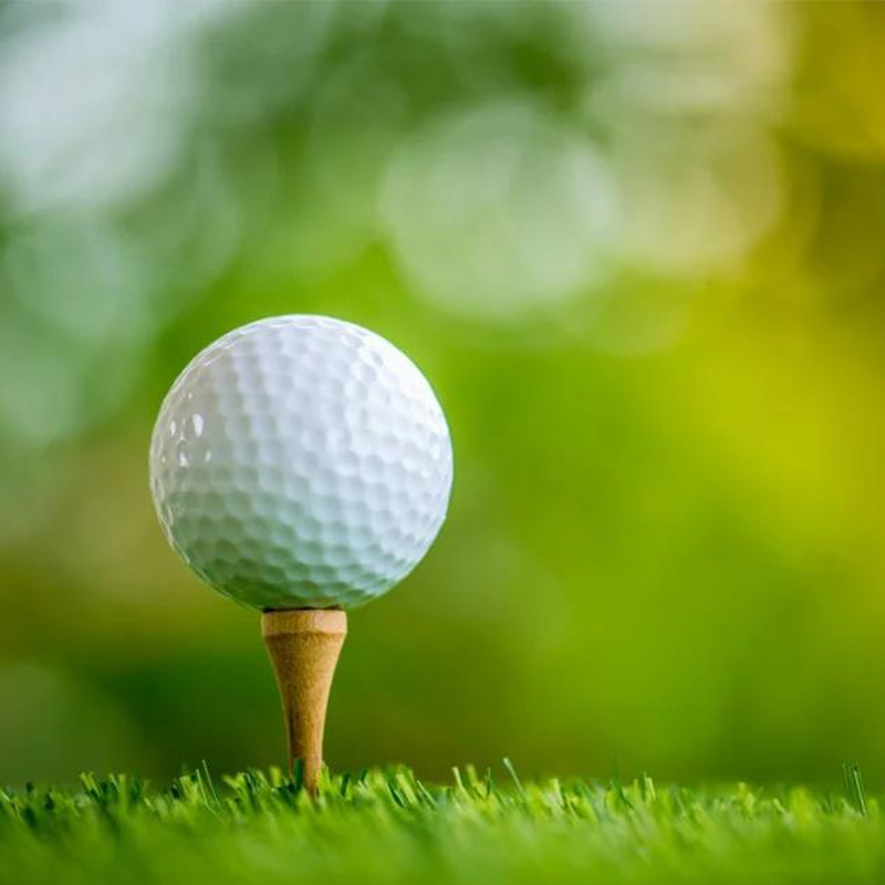 Pelota de golf de entrenamiento Surlyn de 2 piezas de color blanco con logotipo personalizado de alta calidad 